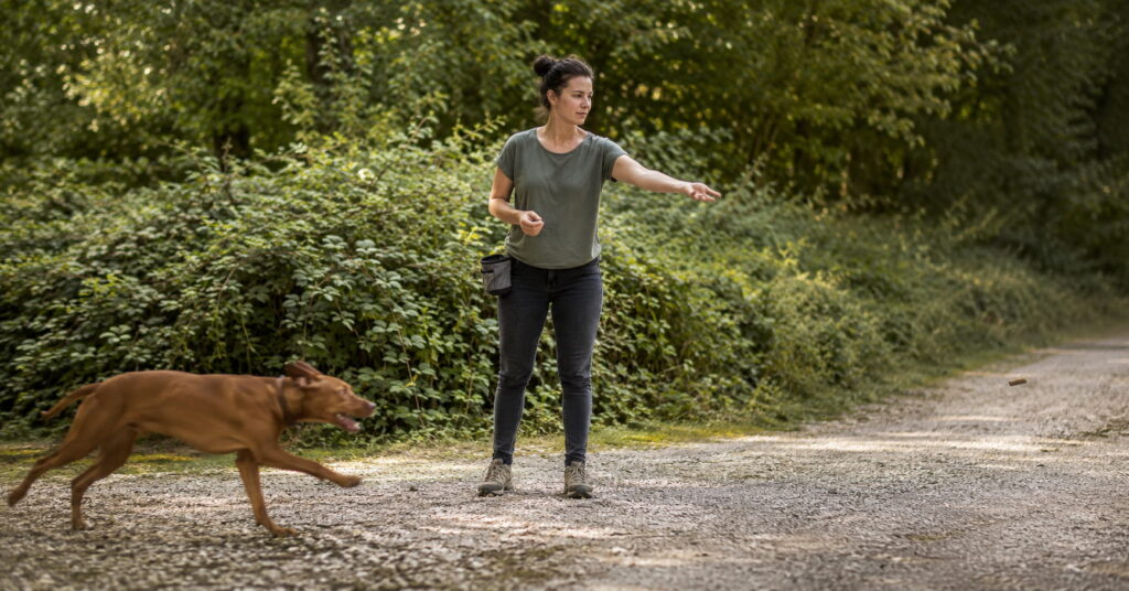 Frau und Hund beim 10 Leckerlispiel